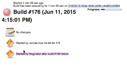 Test run kicked off by Naginator